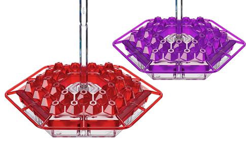 red and purple feeders